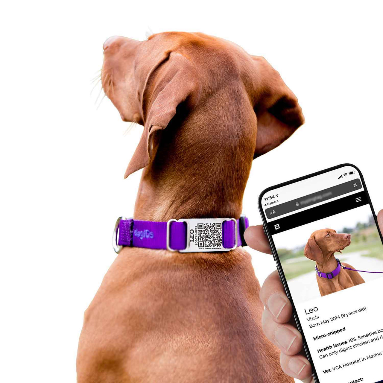 Collar clásico QR
